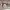 https://res.cloudinary.com/billionhands/image/upload/v1775203204/items/avqp2ffsstjun3bjve71.webp-1cover