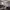 https://res.cloudinary.com/billionhands/image/upload/v1775203267/items/uhhugnkyj0qgvmgsa1fq.jpg-3cover