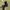 https://res.cloudinary.com/billionhands/image/upload/v1775203362/items/nnovsspijsv30q7thhdr.jpg-1cover