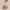 https://res.cloudinary.com/billionhands/image/upload/v1775203396/items/vht1sjoovvyfa8uws2g4.webp-0cover