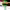 https://res.cloudinary.com/billionhands/image/upload/v1775203429/items/upwwncm5sfmv3moegwav.jpg-0cover