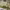 https://res.cloudinary.com/billionhands/image/upload/v1775203513/items/ss3zowiv55nenv3t2jql.webp-3cover