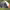 https://res.cloudinary.com/billionhands/image/upload/v1775203516/items/dkhd2nl8lvmurw6dz9xp.webp-2cover