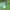 https://res.cloudinary.com/billionhands/image/upload/v1775203534/items/j9t6tz9fp8hfjtx7pvng.jpg-1cover