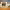VCT Builders Spain (Madrid, Madrid) cover