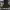 https://res.cloudinary.com/billionhands/image/upload/v1775203732/items/ucx9y3rplisblrrlotru.jpg-0cover