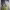 https://res.cloudinary.com/billionhands/image/upload/v1775203807/items/hzikakiawhwojzji4wee.jpg-1cover