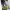 https://res.cloudinary.com/billionhands/image/upload/v1775203809/items/t74opqigz8vhek9oykpa.webp-3cover