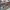 https://res.cloudinary.com/billionhands/image/upload/v1775203950/items/svfnyahdce5sz3qstlys.jpg-0cover