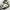 https://res.cloudinary.com/billionhands/image/upload/v1775203973/items/wldvbw4igwpml7gatdys.webp-1cover