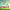 https://res.cloudinary.com/billionhands/image/upload/v1775204189/items/kowtne5sugcj3yn0kzgk.jpg-2cover