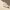 https://res.cloudinary.com/billionhands/image/upload/v1775204199/items/isqbdu0htgmqsssiup4v.webp-2cover