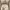 https://res.cloudinary.com/billionhands/image/upload/v1775204244/items/g77axmmhrw9pttnmtoml.jpg-2cover