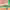 https://res.cloudinary.com/billionhands/image/upload/v1775204422/items/smttadhimaacsf4ywsrr.jpg-3cover