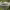 https://res.cloudinary.com/billionhands/image/upload/v1775204649/items/sfsgtcq96hv8cvunieus.avif-1cover