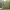https://res.cloudinary.com/billionhands/image/upload/v1775204734/items/ggpx4fwp8or2pszfrymt.png-1cover
