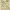 https://res.cloudinary.com/billionhands/image/upload/v1775204736/items/jhdqwizxj2vsrycaek4k.jpg-3cover