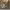 https://res.cloudinary.com/billionhands/image/upload/v1775204781/items/yywodxtvz13wltdjj7qz.jpg-1cover