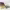 https://res.cloudinary.com/billionhands/image/upload/v1775204924/items/rc3vxaumnx6zjy7n3elk.webp-1cover