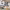 https://res.cloudinary.com/billionhands/image/upload/v1775205000/items/ixmv2koknnn2yujgztob.avif-3cover