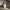 https://res.cloudinary.com/billionhands/image/upload/v1775205006/items/aqufkr49ilyjbckuxykp.webp-1cover