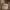 https://res.cloudinary.com/billionhands/image/upload/v1775205006/items/bgojdzdtho59tybyzbjz.jpg-2cover