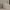 https://res.cloudinary.com/billionhands/image/upload/v1775205006/items/pyktrhlmiks90wtlwaeh.webp-2cover