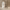 https://res.cloudinary.com/billionhands/image/upload/v1775205007/items/gueggtbkbfgx1ai2ojby.jpg-2cover