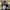https://res.cloudinary.com/billionhands/image/upload/v1775205079/items/jqkkmycgrfxjbxwfxl4c.jpg-1cover