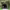 https://res.cloudinary.com/billionhands/image/upload/v1775205083/items/a2v1ybauevutfuo5fy2p.jpg-3cover