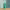 https://res.cloudinary.com/billionhands/image/upload/v1775205095/items/huiz78ydr0x0ag4jiugh.webp-1cover
