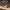 https://res.cloudinary.com/billionhands/image/upload/v1775205203/items/flrgjo2j40op5skfwchu.jpg-3cover