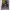 https://res.cloudinary.com/billionhands/image/upload/v1775205272/items/drsllmghihq4vx6ua2sd.jpg-3cover