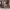 https://res.cloudinary.com/billionhands/image/upload/v1775205338/items/jkouopeavsuioybyplil.webp-3cover
