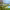 https://res.cloudinary.com/billionhands/image/upload/v1775205369/items/qpro9vdh5yte99hjmdjd.jpg-1cover