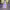 https://res.cloudinary.com/billionhands/image/upload/v1775205457/items/bq0nbdal1kylglpmij0t.jpg-1cover