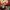 https://res.cloudinary.com/billionhands/image/upload/v1775205465/items/vg3azwdho4n6sx5ymo01.jpg-0cover
