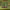 https://res.cloudinary.com/billionhands/image/upload/v1775205486/items/panvwdvjpvvx2juff0a5.jpg-3cover