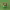 https://res.cloudinary.com/billionhands/image/upload/v1775205609/items/i2fh1cf6hhdoyjqigwpv.avif-3cover