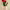 https://res.cloudinary.com/billionhands/image/upload/v1775205615/items/vumks0y16ukmn7smgiyy.webp-2cover