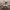 https://res.cloudinary.com/billionhands/image/upload/v1775205636/items/ixc8tflngp0qmgoxmbgg.webp-3cover