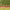 https://res.cloudinary.com/billionhands/image/upload/v1775205658/items/ukmcqw2t13udtalkwdee.jpg-1cover