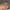 https://res.cloudinary.com/billionhands/image/upload/v1775205677/items/kvyumfcgllftwhggn9s9.jpg-3cover