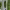 Tower Garden (by Juice Plus+ Company / Future Growing LLC) cover