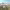 https://res.cloudinary.com/billionhands/image/upload/v1775205810/items/dlo85qmrxpg6cffmi0oq.jpg-1cover