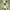 https://res.cloudinary.com/billionhands/image/upload/v1775205820/items/co6bc87zawqu645dtquv.webp-2cover