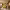 https://res.cloudinary.com/billionhands/image/upload/v1775205869/items/rxsuj5fszadkkv2l6xlt.avif-2cover