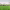https://res.cloudinary.com/billionhands/image/upload/v1775205870/items/awaljbfavgeivfloj2uo.webp-2cover