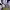 https://res.cloudinary.com/billionhands/image/upload/v1775206019/items/squioormdhlespsoqpyw.jpg-3cover