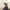 https://res.cloudinary.com/billionhands/image/upload/v1775206264/items/senvclozbu9luonxqxdh.jpg-1cover